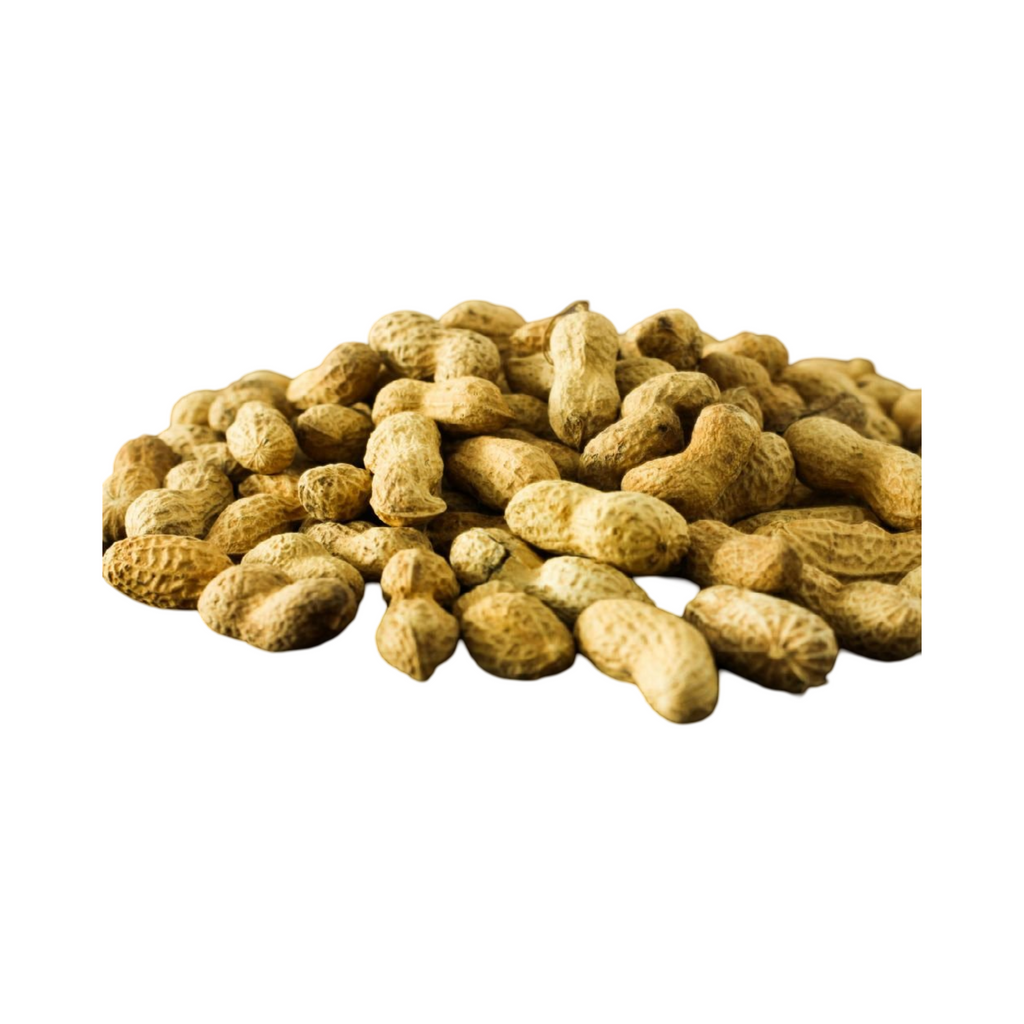 Arachide frais
