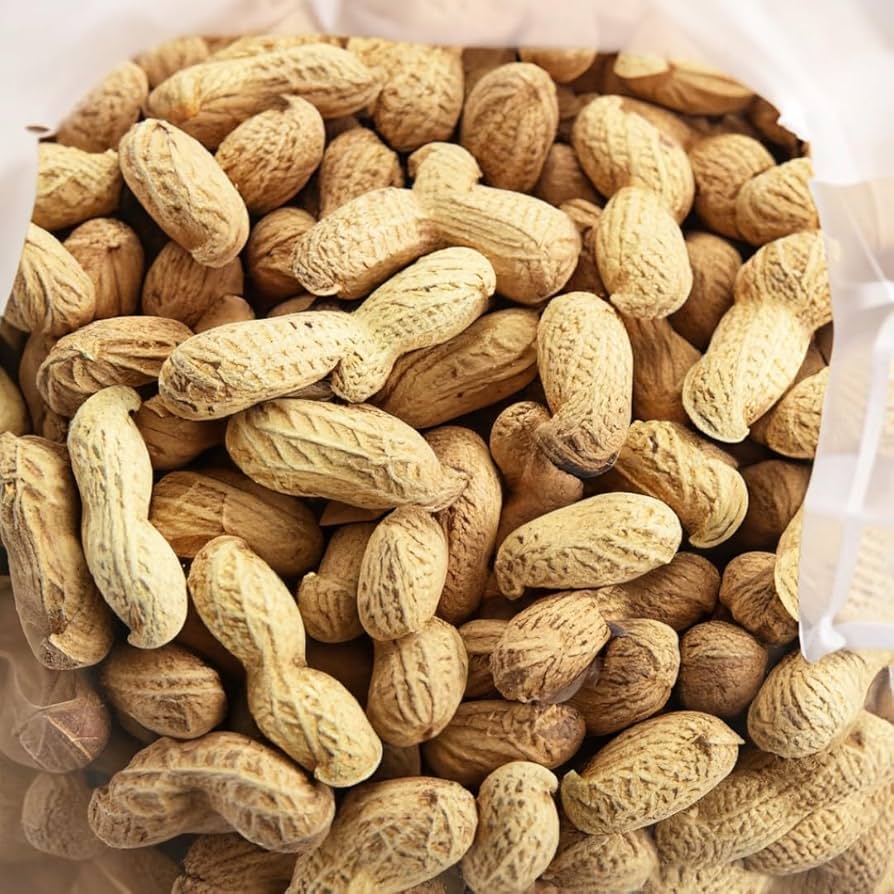 Arachide frais