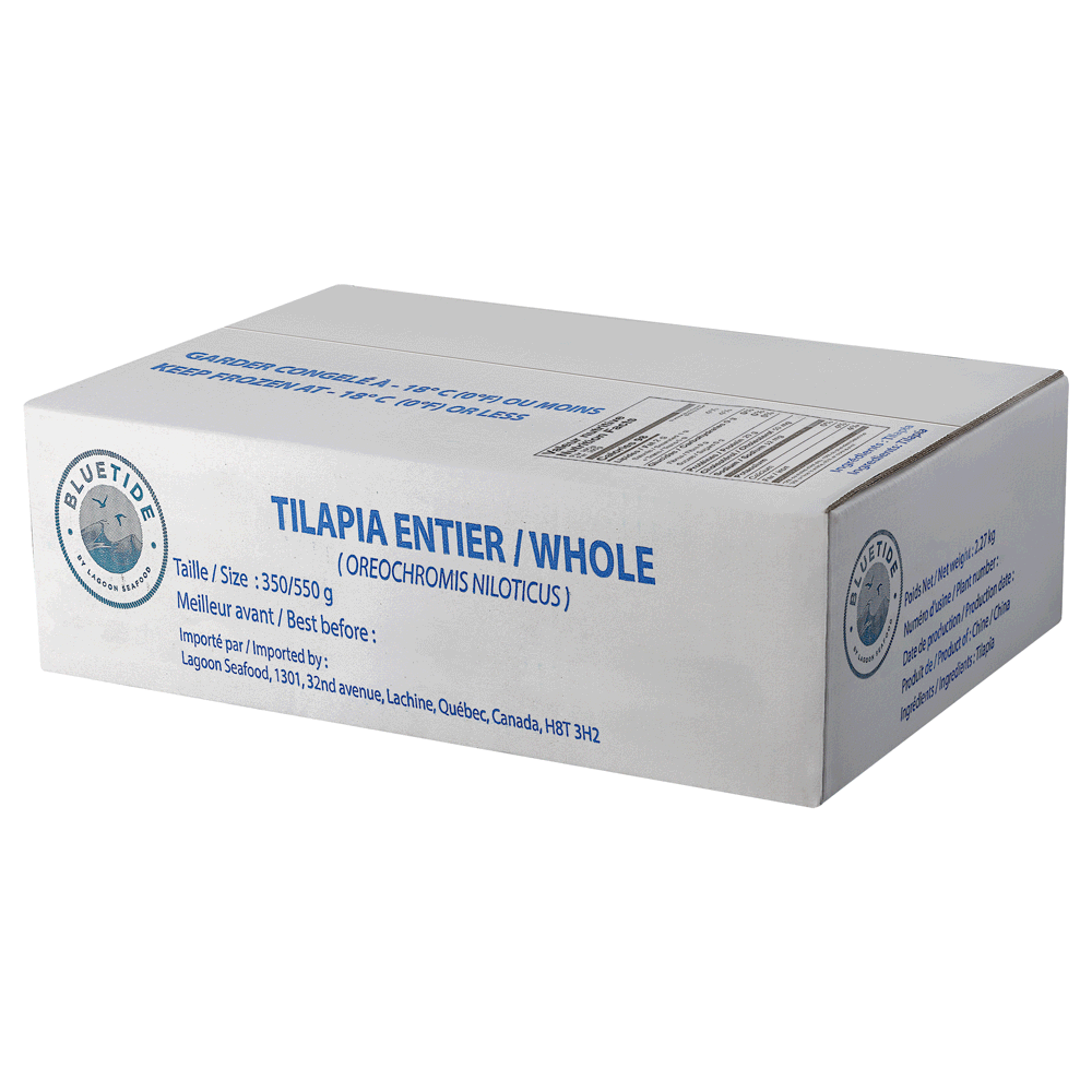 Carton moyen tilapia