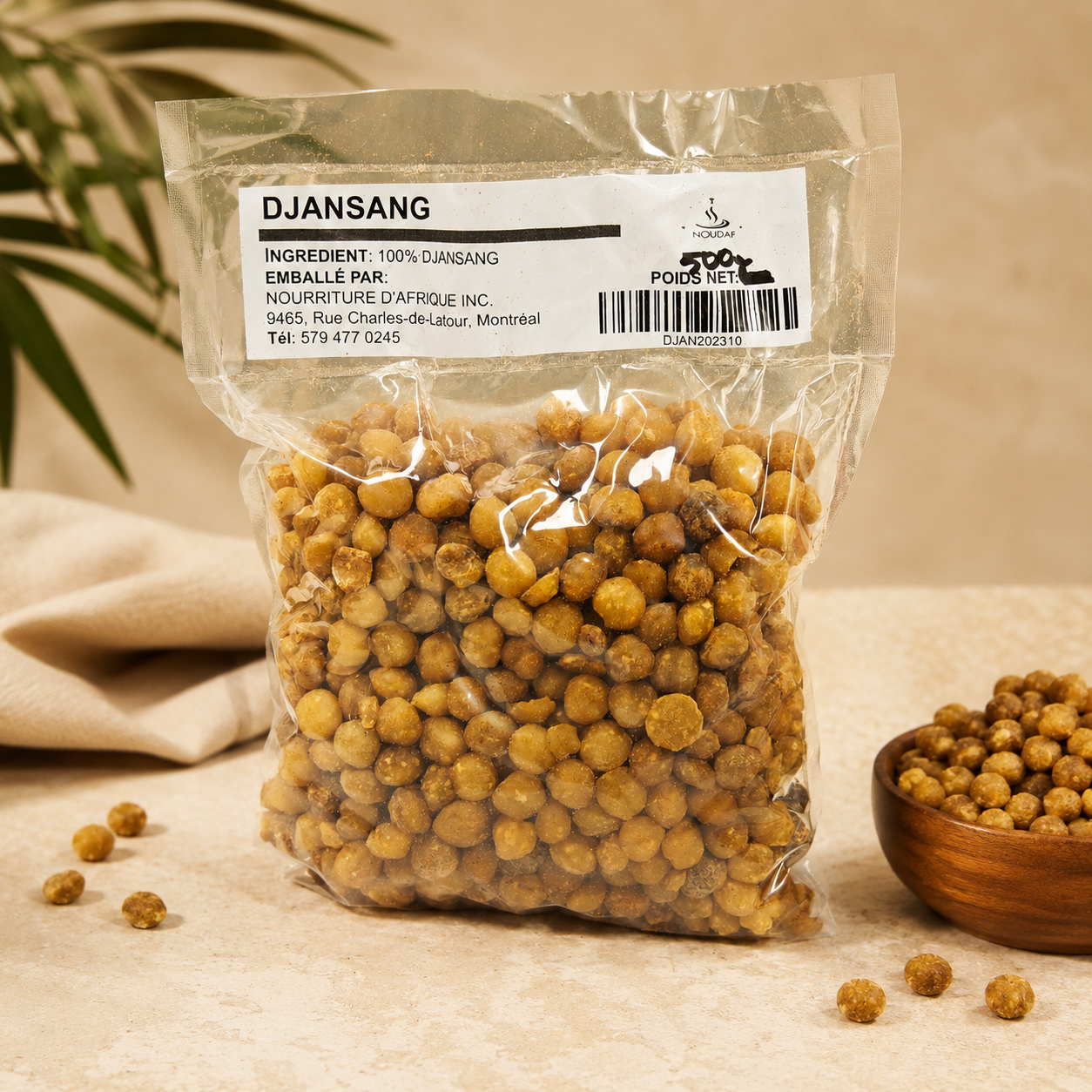 Nourriture d'Afrique — Djansang (Ricinodendron heudelotii)