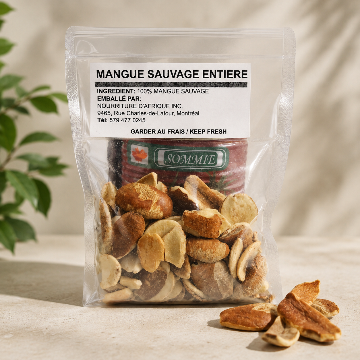 Nourriture d'Afrique — Mangue Sauvage entière (Ogbono)