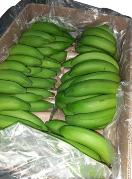 Banane