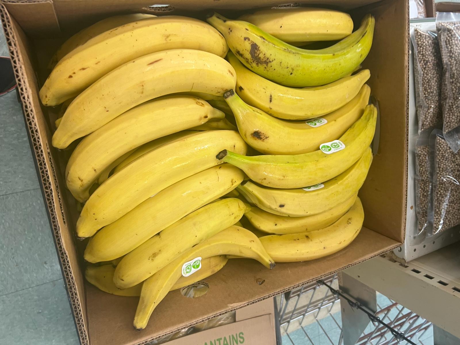 Plantain