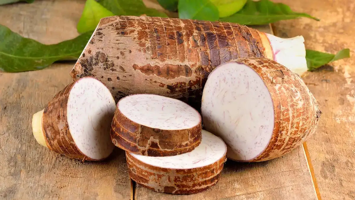 Taro