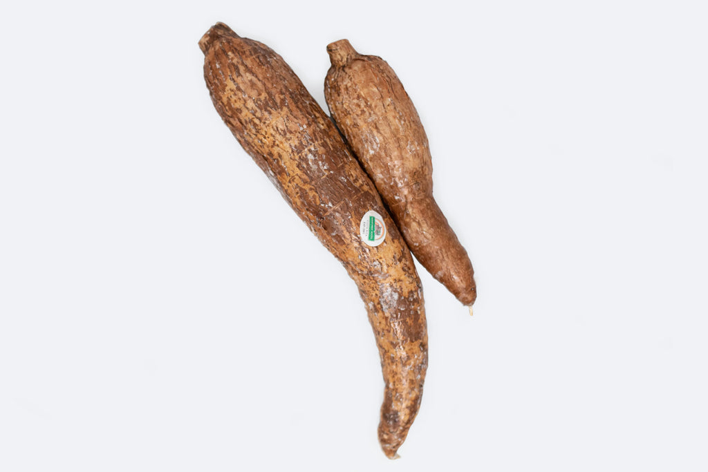 Manioc