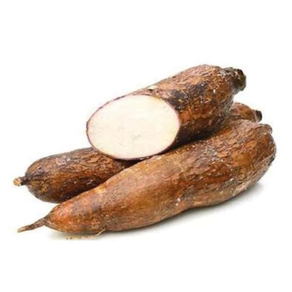Manioc